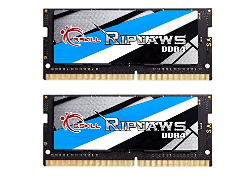 G.Skill Ripjaws Series 16GB (2 x 8G) 260-Pin DDR4 SO-DIMM DDR4 2400 (PC4 19200) Laptop Memory Model F4-2400C16D-16GRS